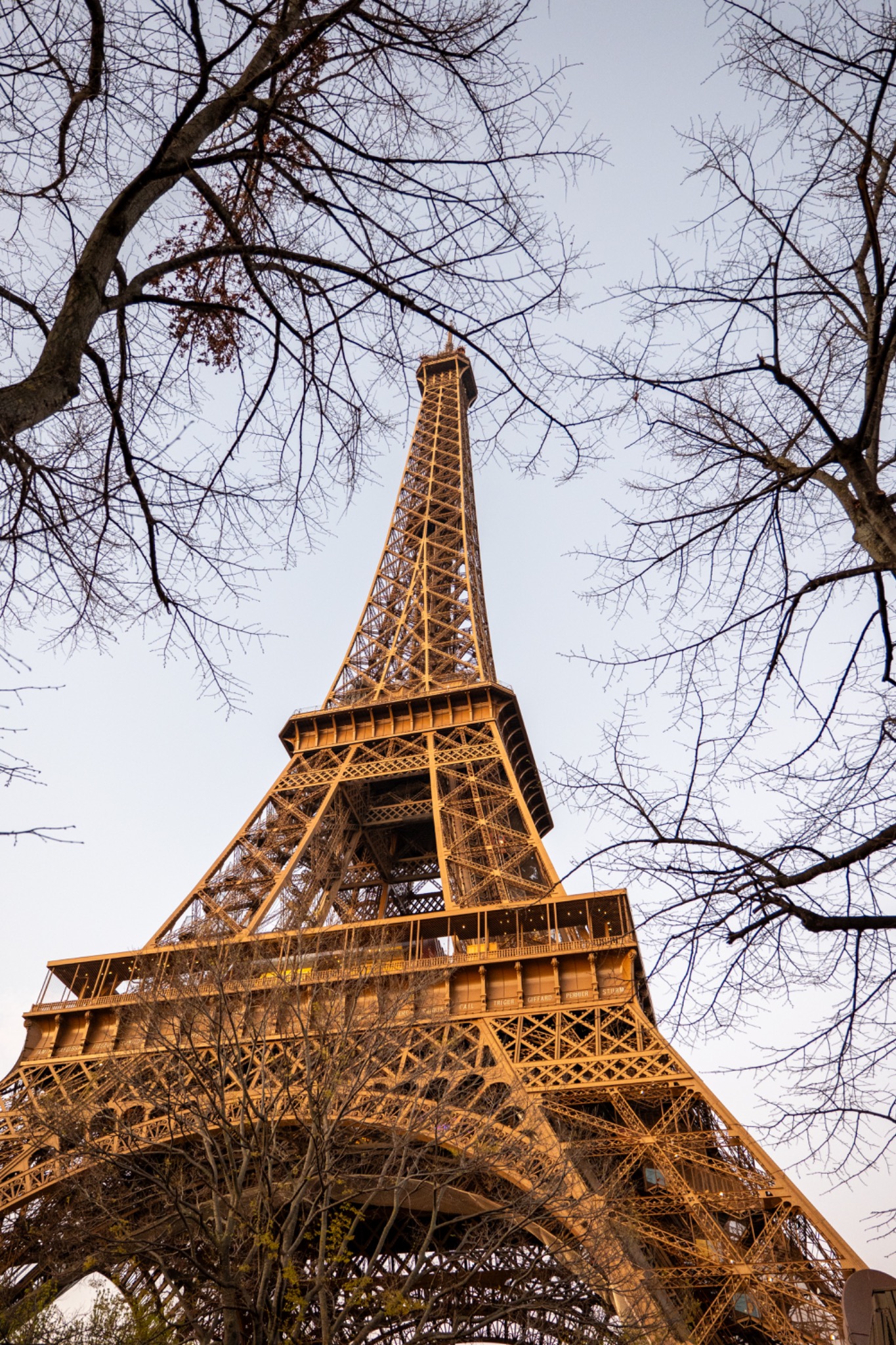 Eiffel Tower framed by bare tree branches.